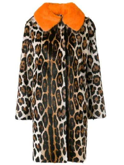 Shop Liska Netta Leopard Print Coat In Beige/braun