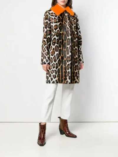 Shop Liska Netta Leopard Print Coat In Beige/braun