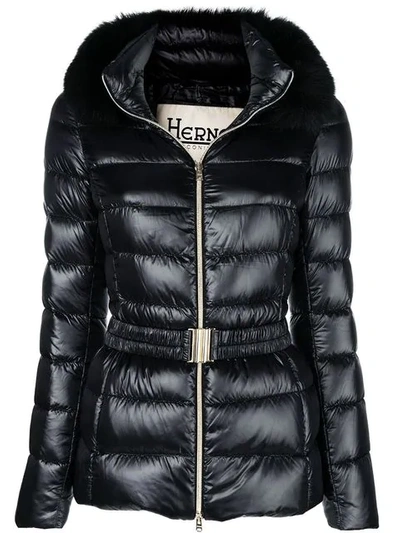 Shop Herno Fur Hood Puffer Jacket In 9300 Black