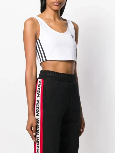 Shop Adidas Originals Cropped Logo Top In White