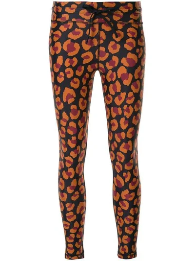 Shop The Upside Leopard Print Leggings In Leo Multi