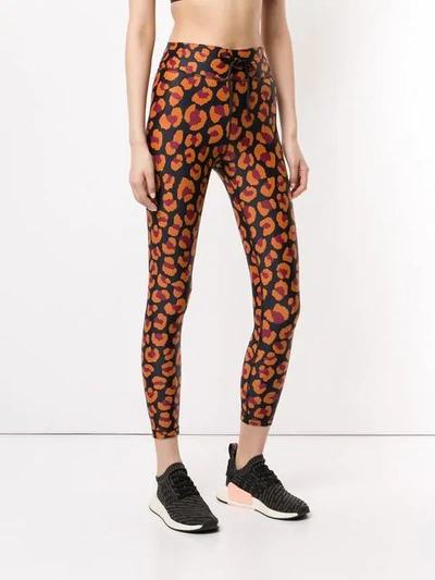 Shop The Upside Leopard Print Leggings In Leo Multi