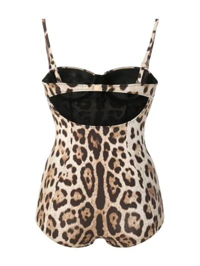 Shop Dolce & Gabbana Leopard Print Swimming Suit In Hy13m Leo New