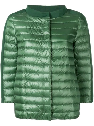 Shop Herno Short Padded Jacket In Green