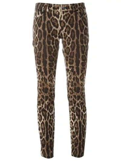 Shop Dolce & Gabbana Leopard Print Trousers In Brown