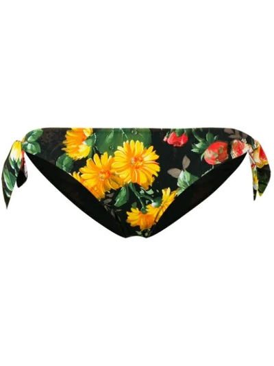 Shop Dolce & Gabbana Floral Bikini Bottom In Black