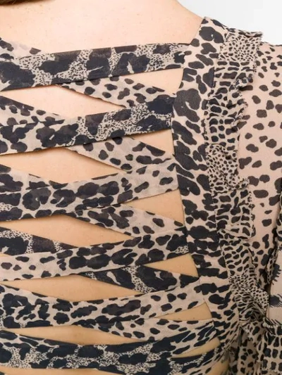 Shop Zimmermann Cut-out Detail Animal Print Dress In Neutrals