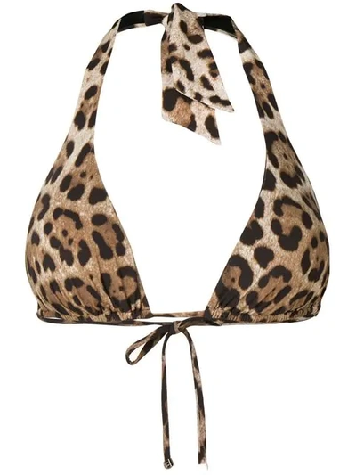 Shop Dolce & Gabbana Triangle Bikini Top In Brown