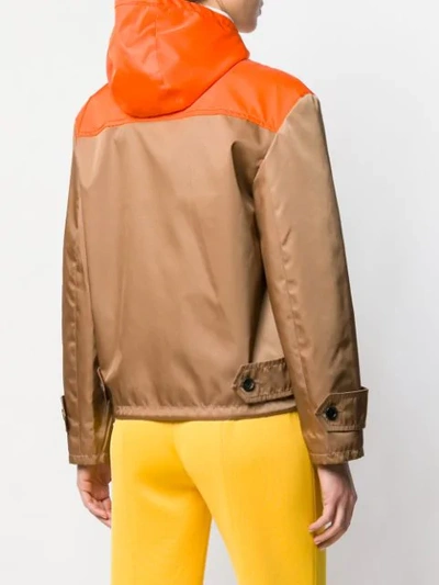 Shop Prada Logo Hooded Jacket In Brown