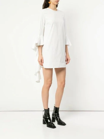 Shop Ellery Kilkenny Frill Sleeve Dress In White