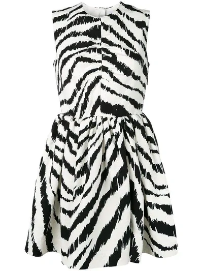 Shop Msgm Zebra Print Dress In Black