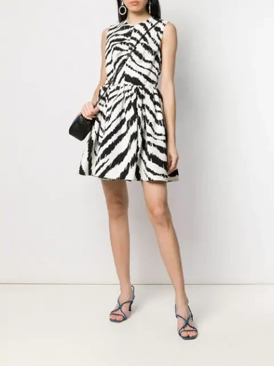 Shop Msgm Zebra Print Dress In Black