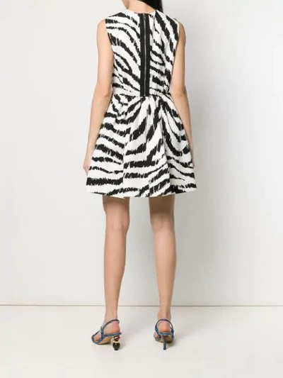 Shop Msgm Zebra Print Dress In Black