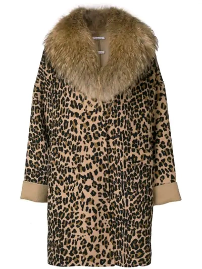 Shop P.a.r.o.s.h Leopard Print Fur Trim Coat In Brown