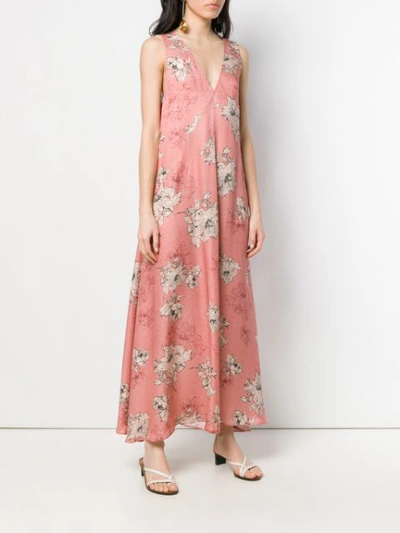 Shop Antonelli Floral Print Maxi Dress In Pink