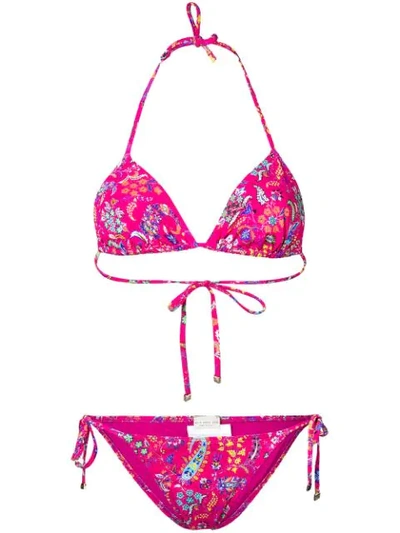 Shop Etro Floral Print Bikini In Pink