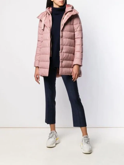 Shop Herno Padded Parka  In 4130 Pink