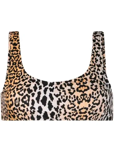 Shop Reina Olga Leopard Print Bikini Top In Black