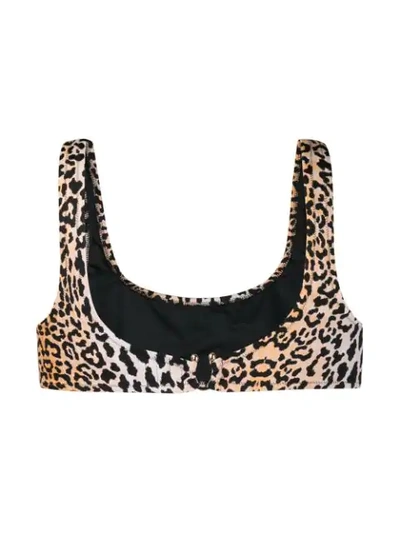 Shop Reina Olga Leopard Print Bikini Top In Black