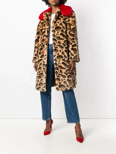 Shop Dolce & Gabbana Contrast-collar Leopard-print Coat In Brown