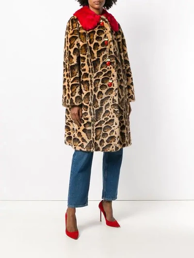 Shop Dolce & Gabbana Contrast-collar Leopard-print Coat In Brown