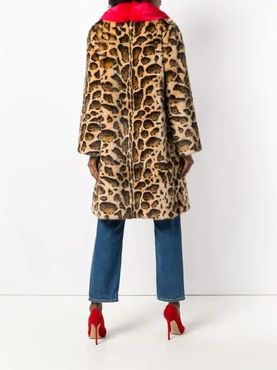 Shop Dolce & Gabbana Contrast-collar Leopard-print Coat In Brown