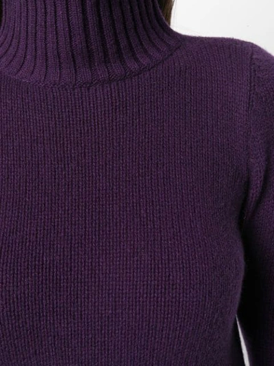 Shop Aragona Turtle Neck Jumper In 164 Viola