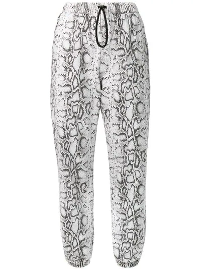 Shop Alexander Wang Snakeskin Print Trousers - Grey