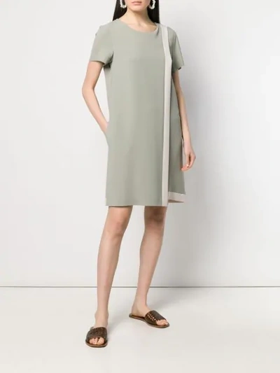 Shop Antonelli Shift Silhouette Dress In Green