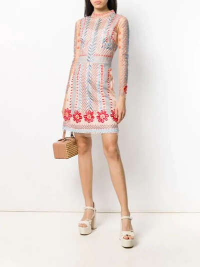 Shop Temperley London Sheer Embroidered Mini Dress In Neutrals