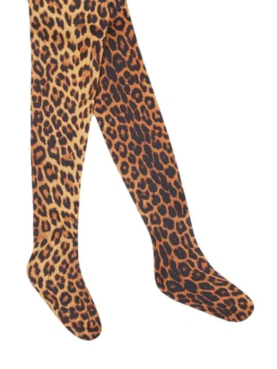 Shop Gucci Tights With Leopard Print - Brown