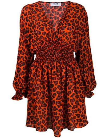 Shop Msgm Leopard Print Mini Dress In Orange