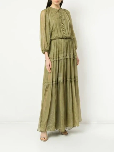 Shop Maria Lucia Hohan Buttoned Maxi Dress In Gold