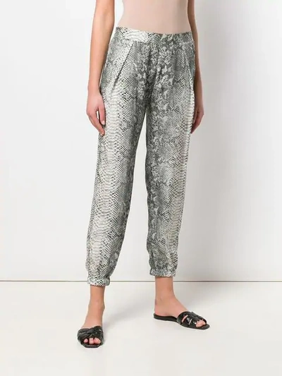 Shop Gold Hawk Snake-print Trousers In Black