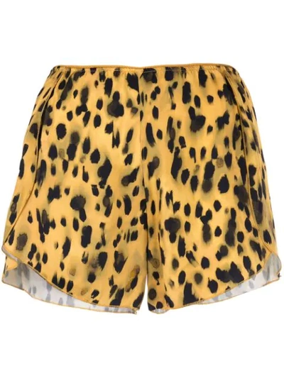 Shop Anine Bing Jade Leopard Print Shorts In Yellow