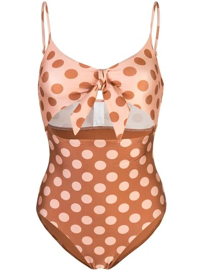 Shop Zimmermann Polka Dot Printed Swimsuit In Brown