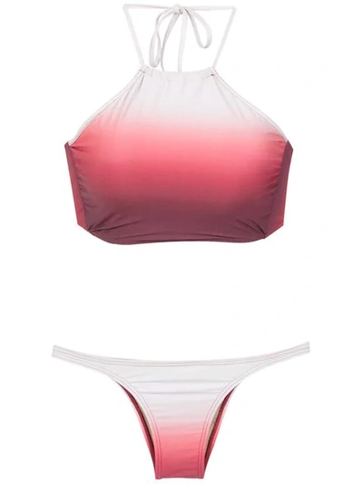Shop Amir Slama Gradient Bikini Set In Red