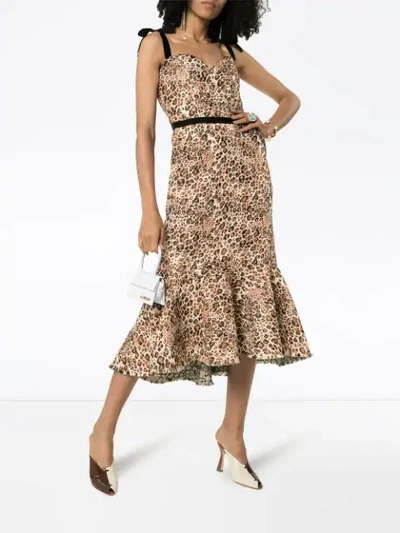 Shop Johanna Ortiz Love Between Species Leopard Print Dress In Brown