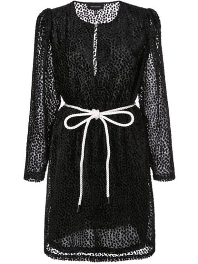 Shop Robert Rodriguez Pauline Velvet Mini Dress In Black