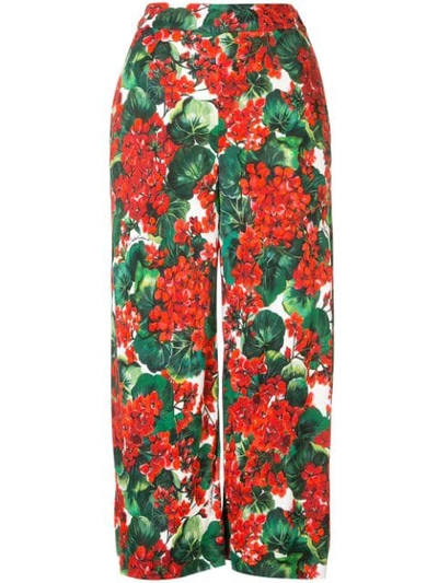 Shop Dolce & Gabbana Portofino Print Cropped Trousers In Red