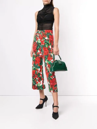 Shop Dolce & Gabbana Portofino Print Cropped Trousers In Red