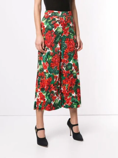 Shop Dolce & Gabbana Portofino Print Cropped Trousers In Red