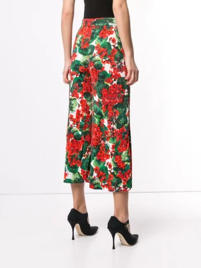 Shop Dolce & Gabbana Portofino Print Cropped Trousers In Red