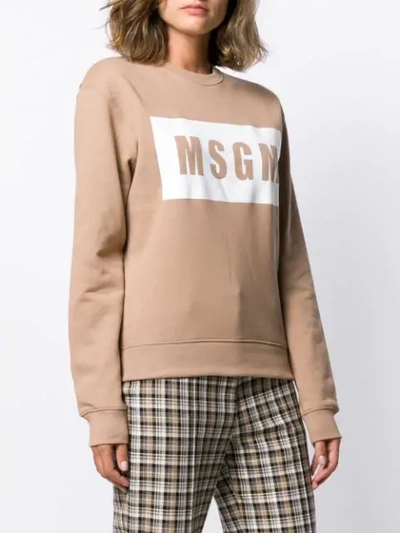 Shop Msgm Box Logo Sweatshirt In Brown