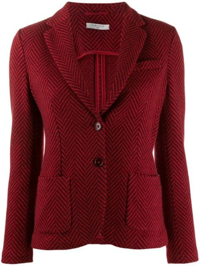 Shop Circolo 1901 Classic Fitted Blazer In Red