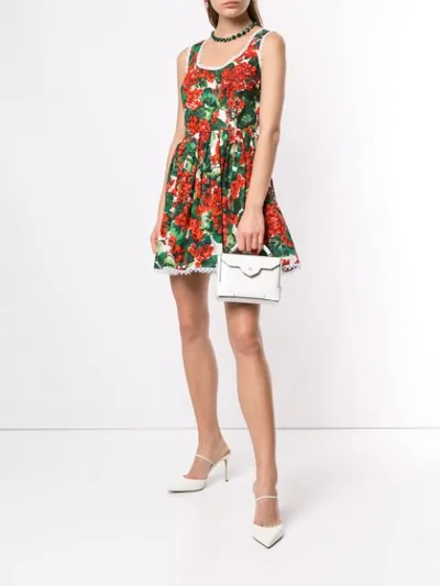 Shop Dolce & Gabbana Portofino Print Poplin Dress In Hav03 Gerani Fdo Bco Nat