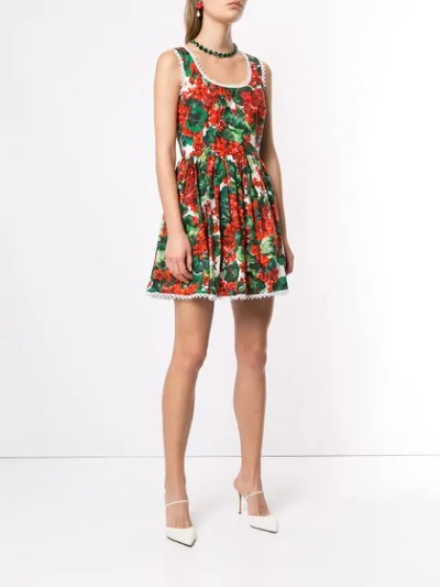 Shop Dolce & Gabbana Portofino Print Poplin Dress In Hav03 Gerani Fdo Bco Nat