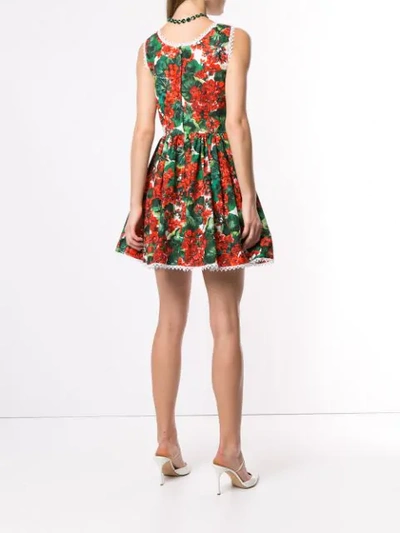 Shop Dolce & Gabbana Portofino Print Poplin Dress In Hav03 Gerani Fdo Bco Nat