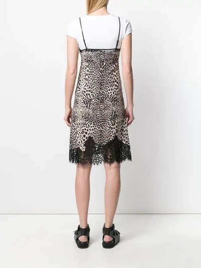 Shop Mcq By Alexander Mcqueen Animal Print Cami Dress In Black