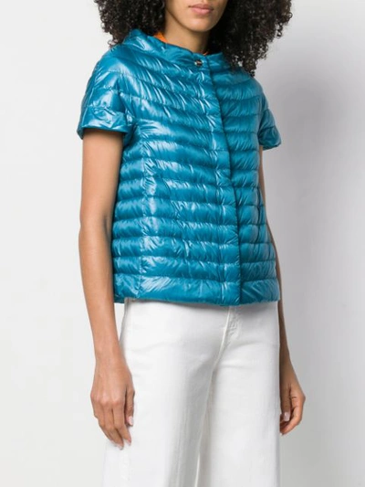 Shop Herno Short-sleeved Puffer Jacket - Blue